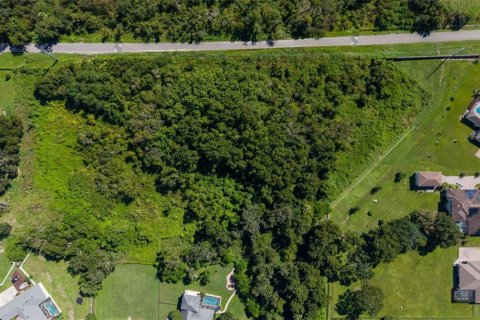 Land in Lakeland, Florida № 2379759 - photo 10