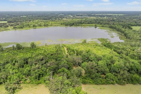 Villa ou maison à vendre à Webster, Floride: 3 chambres, 197.32 m2 № 1750744 - photo 14