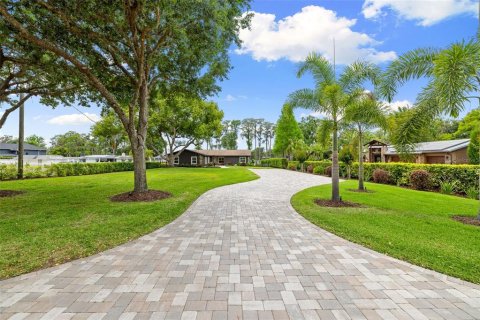 House in Odessa, Florida 4 bedrooms, 273.88 sq.m. № 2151456 - photo 23