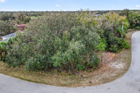 Land in North Port, Florida № 2158277 - photo 5