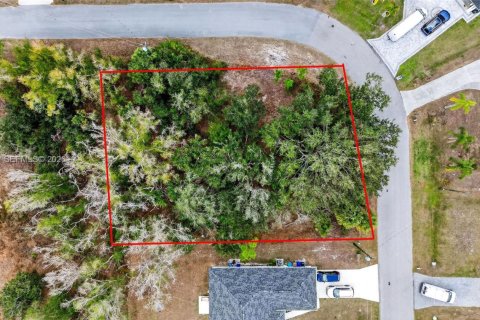 Land in North Port, Florida № 2158277 - photo 2