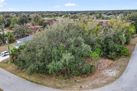 Land in North Port, Florida № 2158277 - photo 6