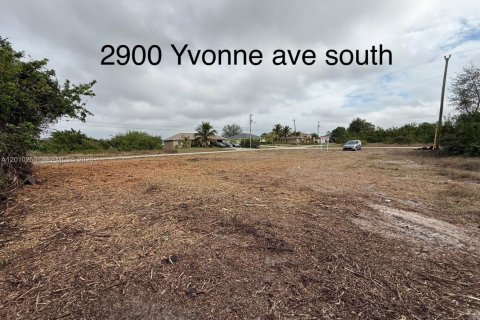 Land in Lehigh Acres, Florida № 2158373