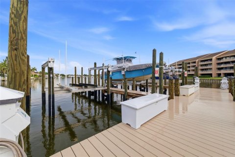 Condo in Gulfport, Florida, 2 bedrooms  № 2344943 - photo 26