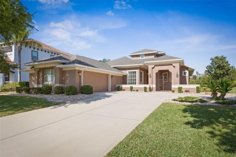 House in Palm Coast, Florida 4 bedrooms, 281.49 sq.m. № 1628608 - photo 1