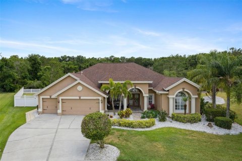 Casa en venta en Wesley Chapel, Florida, 6 dormitorios, 328.69 m2 № 1918405 - foto 1