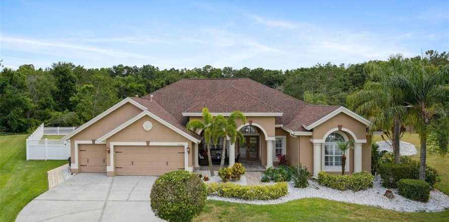 Casa en Wesley Chapel, Florida 6 dormitorios, 328.69 m2 № 1918405