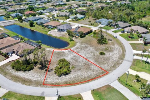 Land in Rotonda, Florida № 1723797 - photo 1