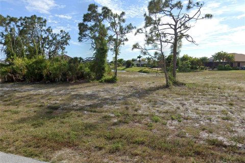 Land in Rotonda, Florida № 1723797 - photo 18