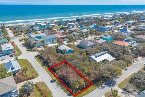 Terreno en venta en New Smyrna Beach, Florida № 2329641 - foto 2