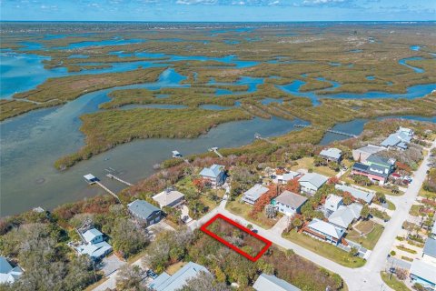 Terreno en venta en New Smyrna Beach, Florida № 2329641 - foto 3