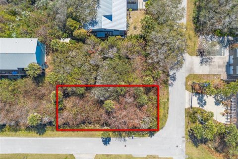Terreno en venta en New Smyrna Beach, Florida № 2329641 - foto 4