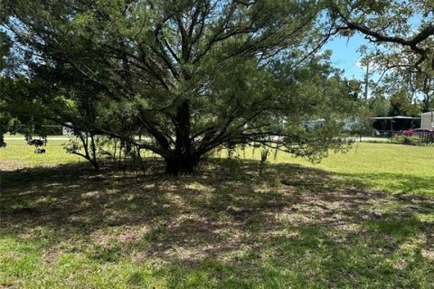 Land in Hudson, Florida № 1906494 - photo 4