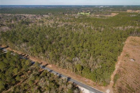Terreno en venta en Lake City, Florida № 2132197 - foto 2