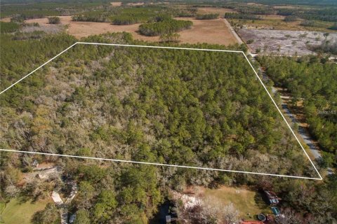 Terreno en venta en Lake City, Florida № 2132197 - foto 7