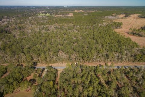 Terreno en venta en Lake City, Florida № 2132197 - foto 3