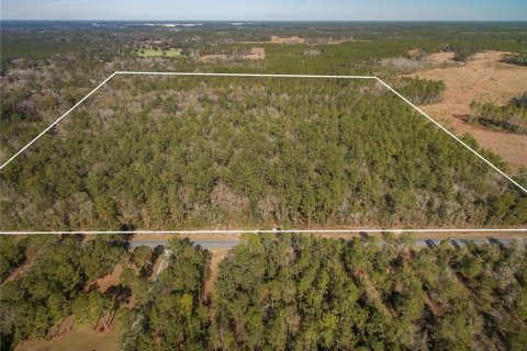 Terreno en venta en Lake City, Florida № 2132197 - foto 4