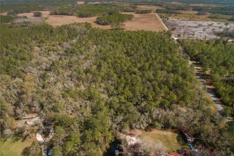 Terreno en venta en Lake City, Florida № 2132197 - foto 9