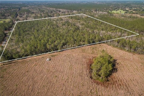 Terreno en venta en Lake City, Florida № 2132197 - foto 10