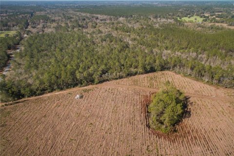 Terreno en venta en Lake City, Florida № 2132197 - foto 8