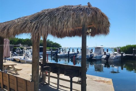 Copropriété à vendre à Tavernier, Floride: 36.98 m2 № 1938253 - photo 10