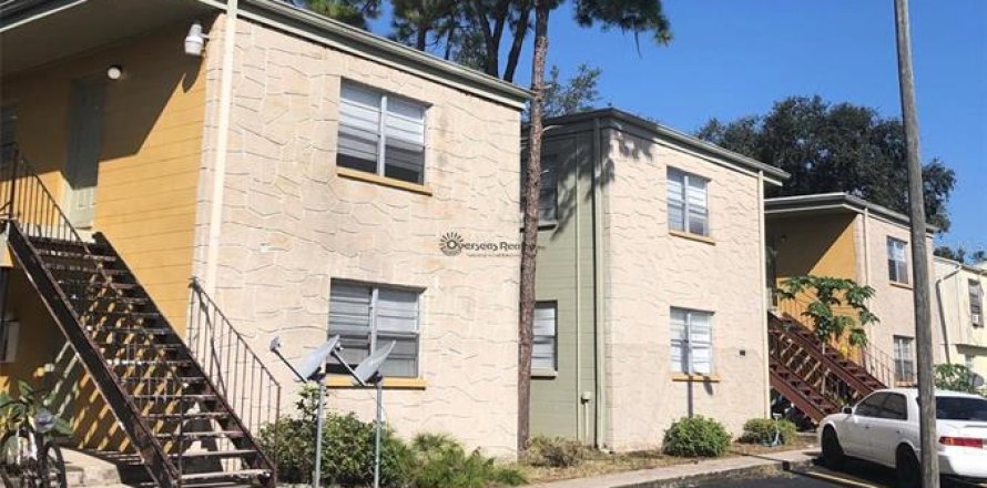 Studio à Tampa, Floride № 1337676