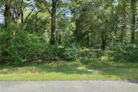 Terreno en DeLand, Florida № 2167201