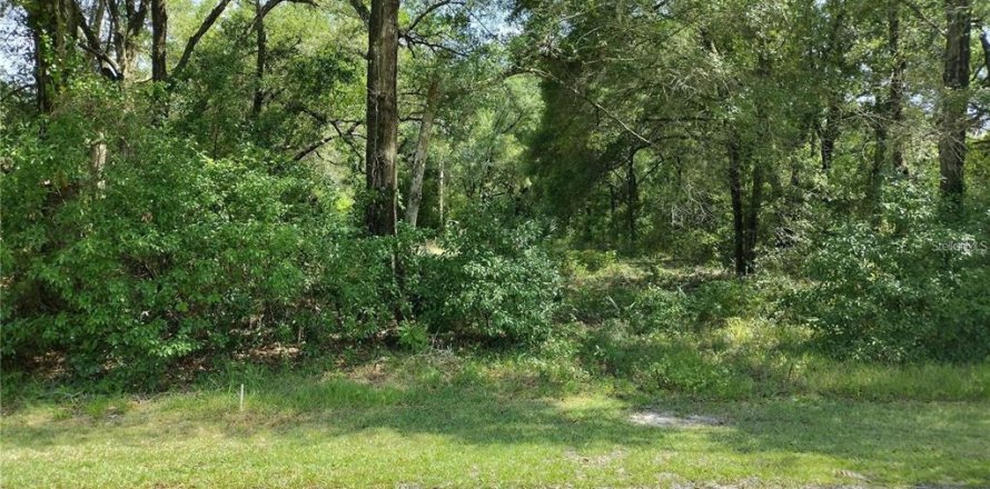 Terreno en DeLand, Florida № 2167201