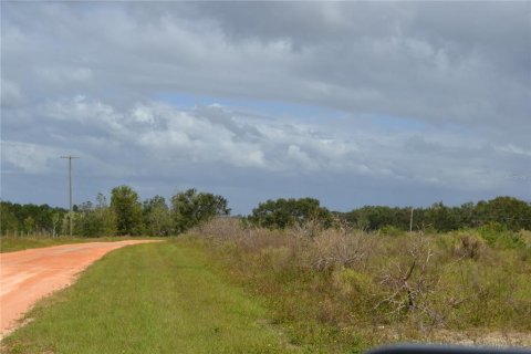 Купить земельный участок в Бартоу, Флорида № 1544442 - фото 1