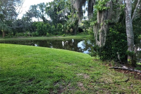 Villa ou maison à louer à New Port Richey, Floride: 2 chambres, 82.78 m2 № 2156759 - photo 29