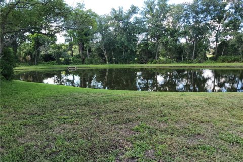 Villa ou maison à louer à New Port Richey, Floride: 2 chambres, 82.78 m2 № 2156759 - photo 28