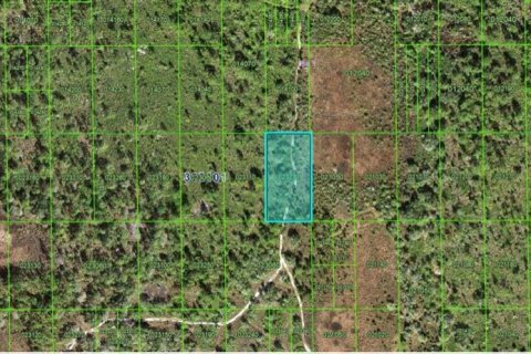 Land in Lake Wales, Florida № 2163768