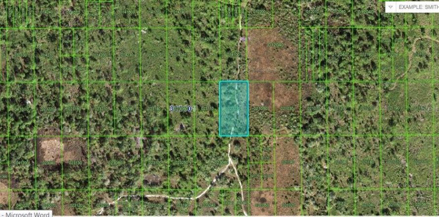 Land in Lake Wales, Florida № 2163768