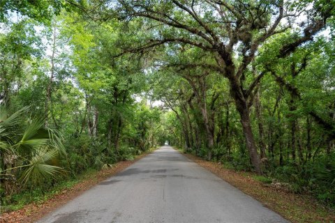Terreno en venta en Orlando, Florida № 2096457 - foto 3