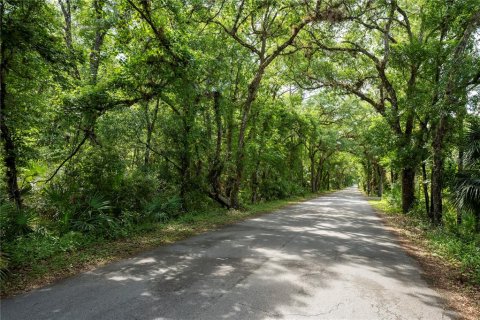Terreno en venta en Orlando, Florida № 2096457 - foto 2