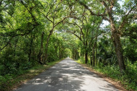 Terreno en venta en Orlando, Florida № 2096457 - foto 1