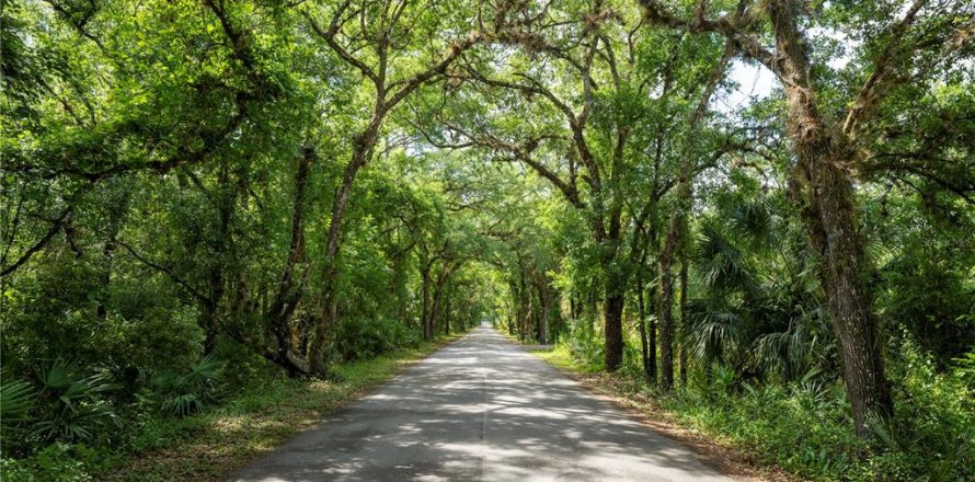 Terreno en Orlando, Florida № 2096457