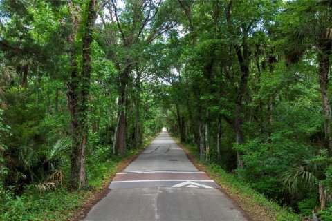 Terreno en venta en Orlando, Florida № 2096457 - foto 4
