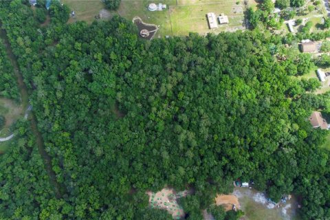 Terreno en venta en Orlando, Florida № 2096457 - foto 14