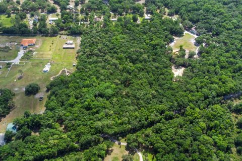 Terreno en venta en Orlando, Florida № 2096457 - foto 13