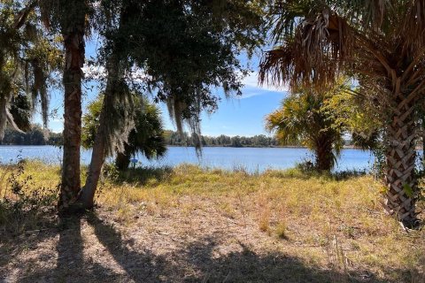 Land in Tavares, Florida № 364769 - photo 9