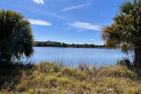 Land in Tavares, Florida № 364769 - photo 2