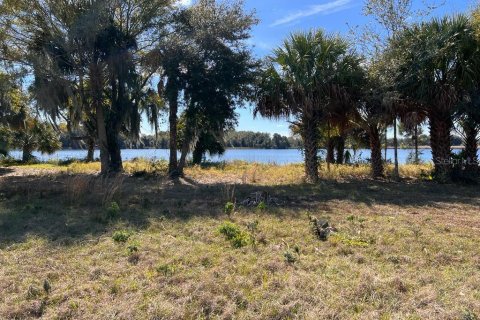 Land in Tavares, Florida № 364769 - photo 10