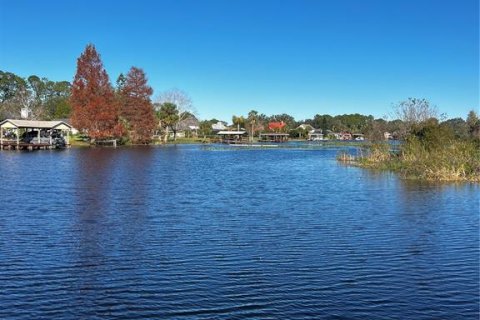 Land in Tavares, Florida № 364769 - photo 7