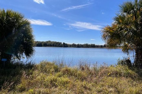 Land in Tavares, Florida № 364769 - photo 1