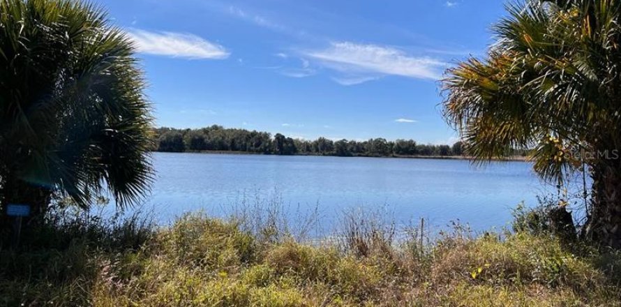 Land in Tavares, Florida № 364769