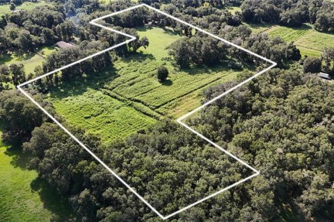 Terrain à Reddick, Floride № 2371786