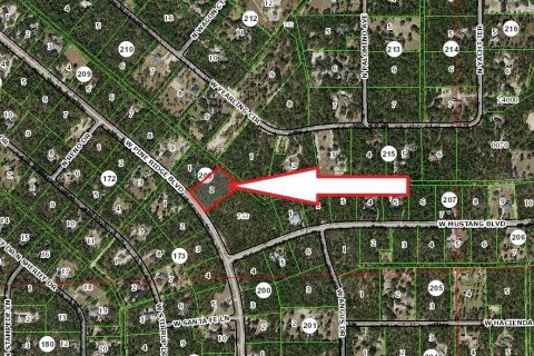 Terreno en venta en Beverly Hills, Florida № 1822447 - foto 2