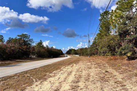 Terreno en venta en Beverly Hills, Florida № 1822447 - foto 9