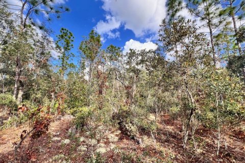 Terreno en venta en Beverly Hills, Florida № 1822447 - foto 7